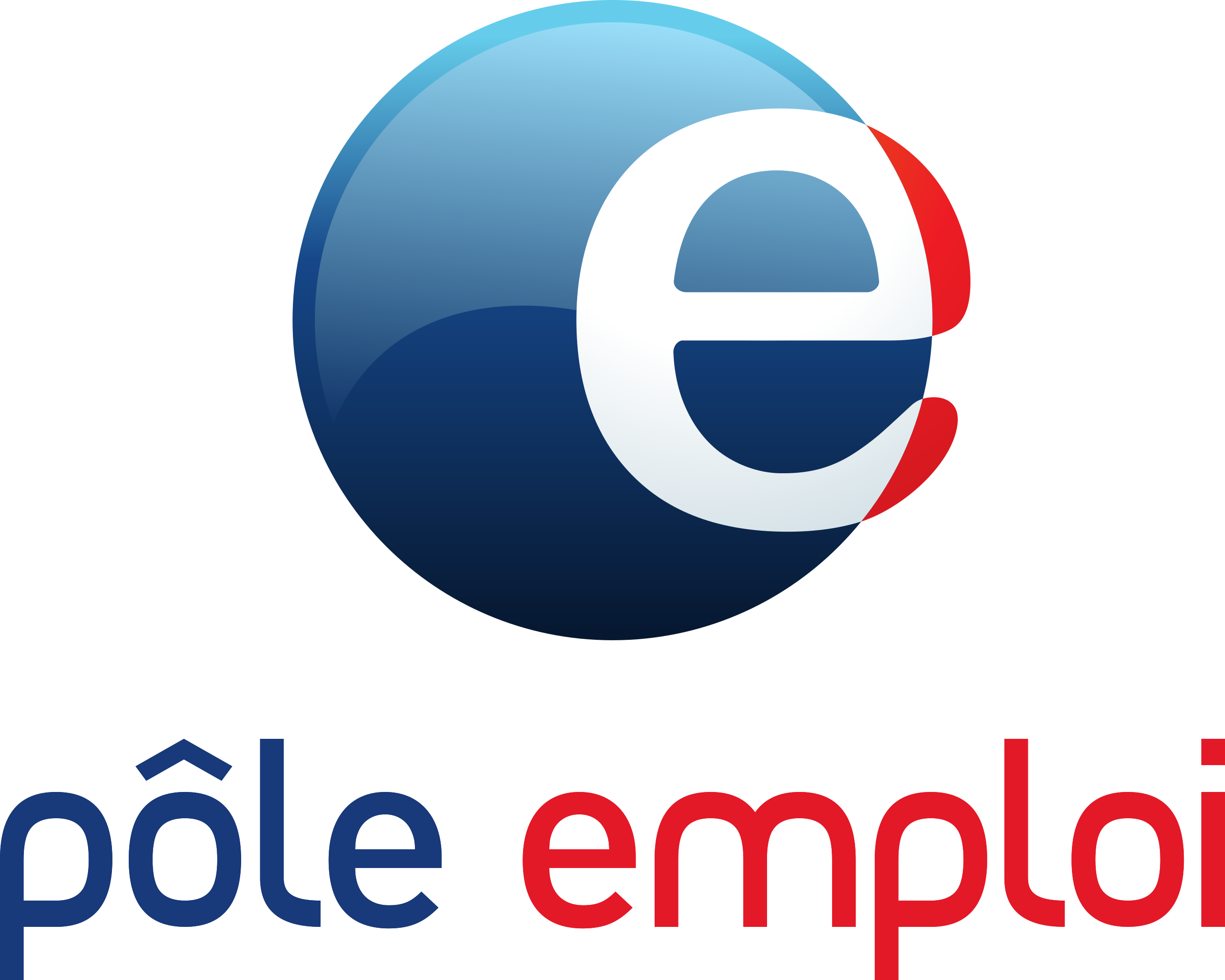 2560px-Logo_Pôle_Emploi_2008.svg